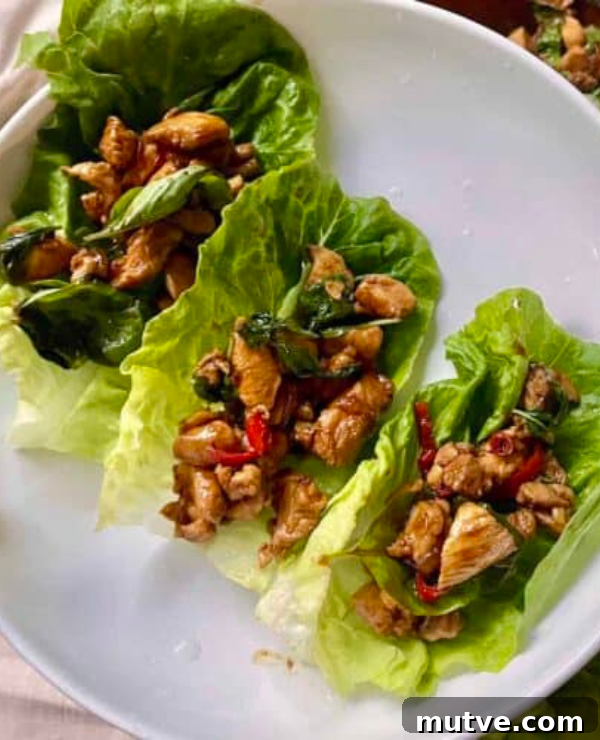 30 Asian Recipes to Make at Home 27 Roundup Image for Easy Asian Dishes Anyone can make