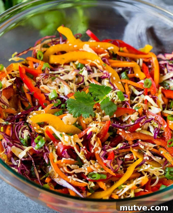 30 Asian Recipes to Make at Home 28 Roundup Image