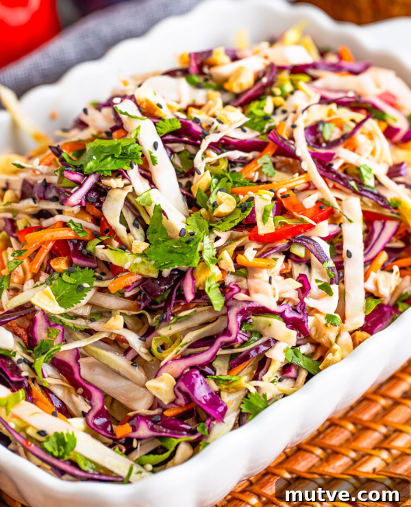 30 Asian Recipes to Make at Home 9 Roundup Image for Easy Asian Dishes Anyone can make