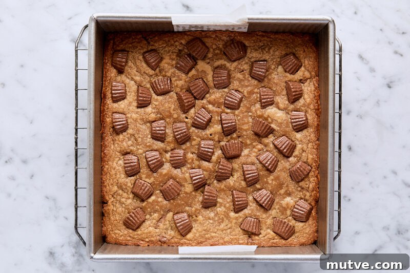 Baked peanut butter blondies in parchment-lined square pan