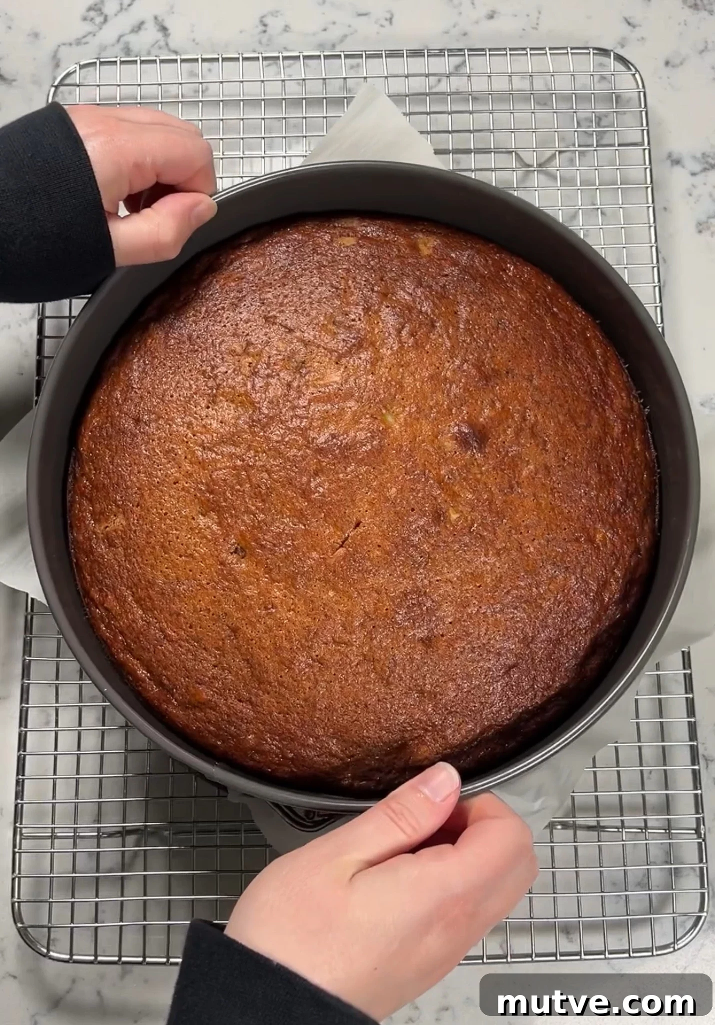 Cake after baking.