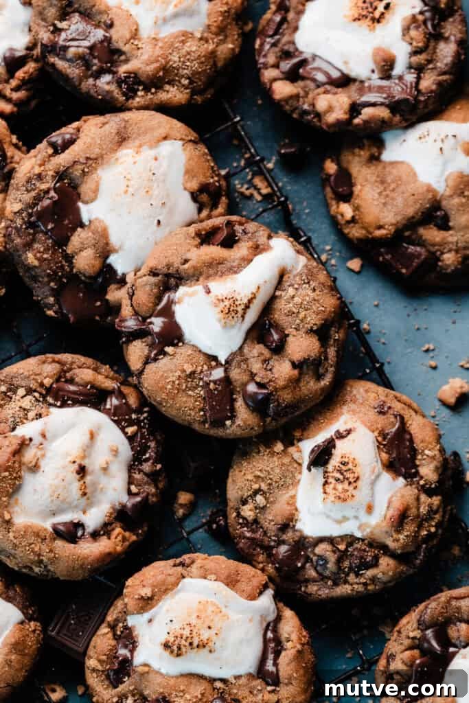 Marshmallow stuffed s'mores chocolate chip cookies on a wire rack, on a blue background.