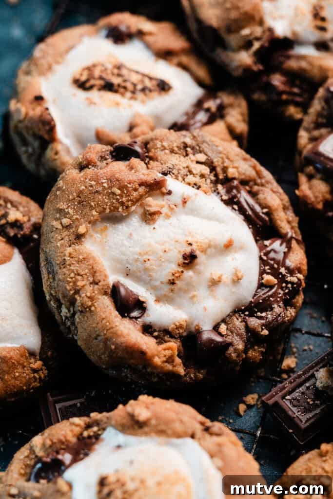A close-up on a s'mores cookie stuffed with a gooey marshmallow. 
