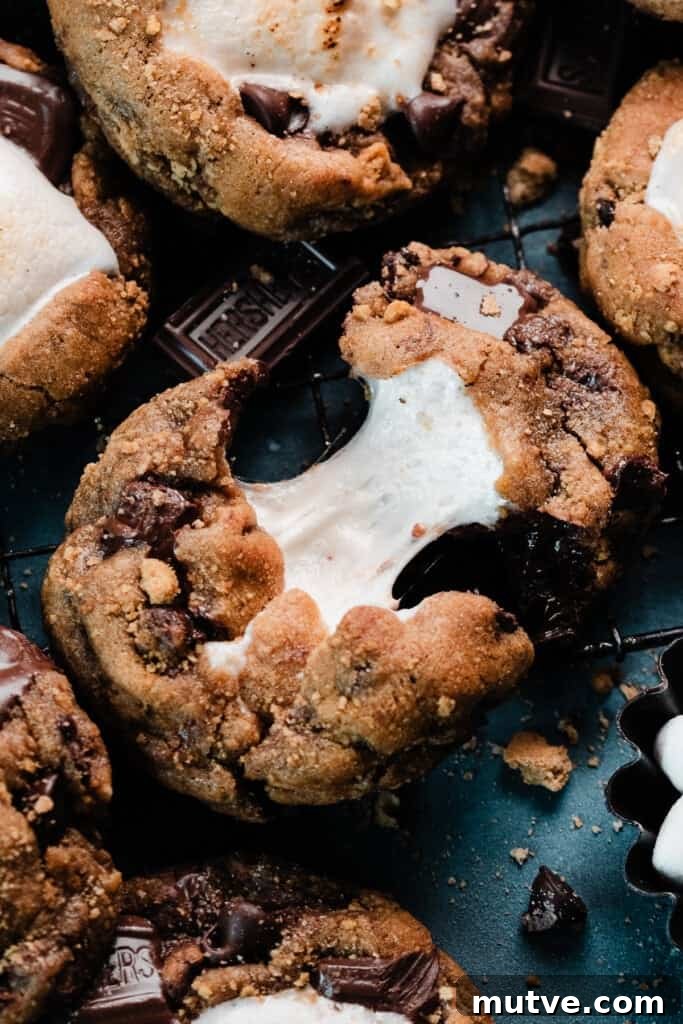 A s'moreso cookie being pulled apart, with the gooey marshmallow stretching as the cookie breaks.