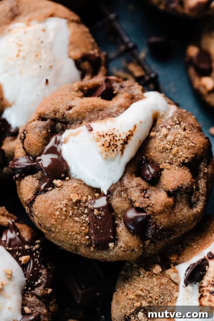 A close-up on a s'mores cookie, with a gooey pocket of marshmallow oozing out of the center. 