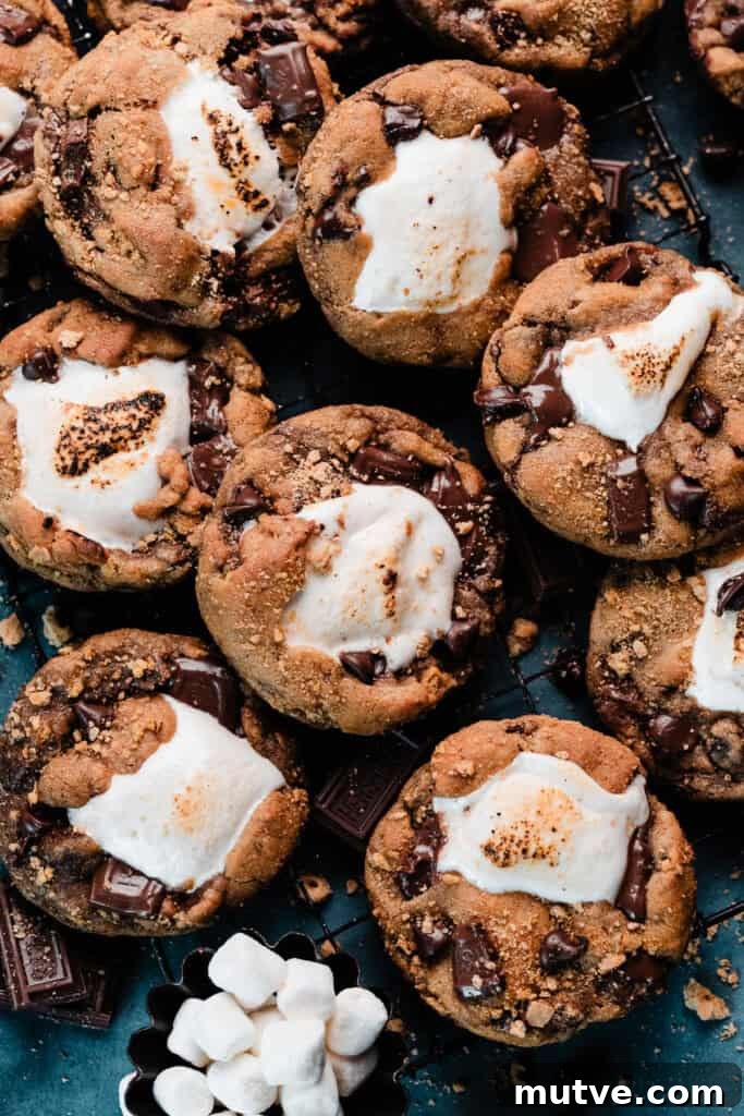 Golden brown s'mores cookies on a vintage cooling rack.