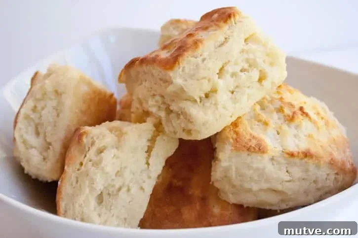 A bunch of Fluffy Buttermilk Biscuits in a bowl