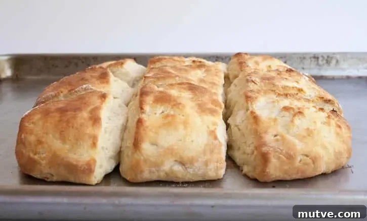 Fluffy Buttermilk Biscuits fresh out of the oven on a baking tray