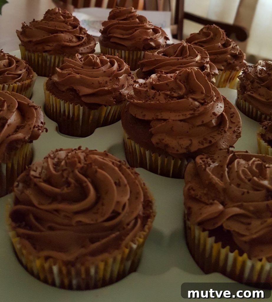 Chocolate cupcakes with chocolate frosting in cupcake tray.