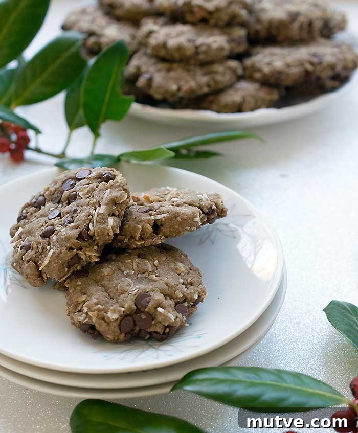 Gluten-Free Teff Chocolate Chip Cookies with Toasted Pecans 2 Gluten-free Vegan Chocolate Chip Pecan Cookies Made with Teff Flour and Coconut too!