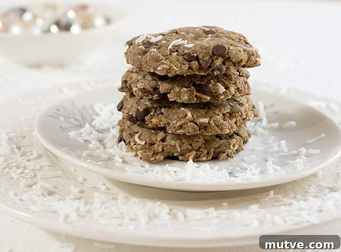 Gluten-Free Teff Chocolate Chip Cookies with Toasted Pecans 3 Gluten-free Vegan Chocolate Chip Pecan Cookies Made with Teff Flour and Coconut too!