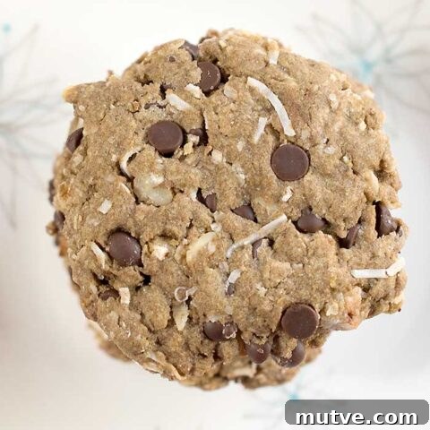 Gluten-free Vegan Chocolate Chip Pecan Cookies Made with Teff Flour and Coconut too!
