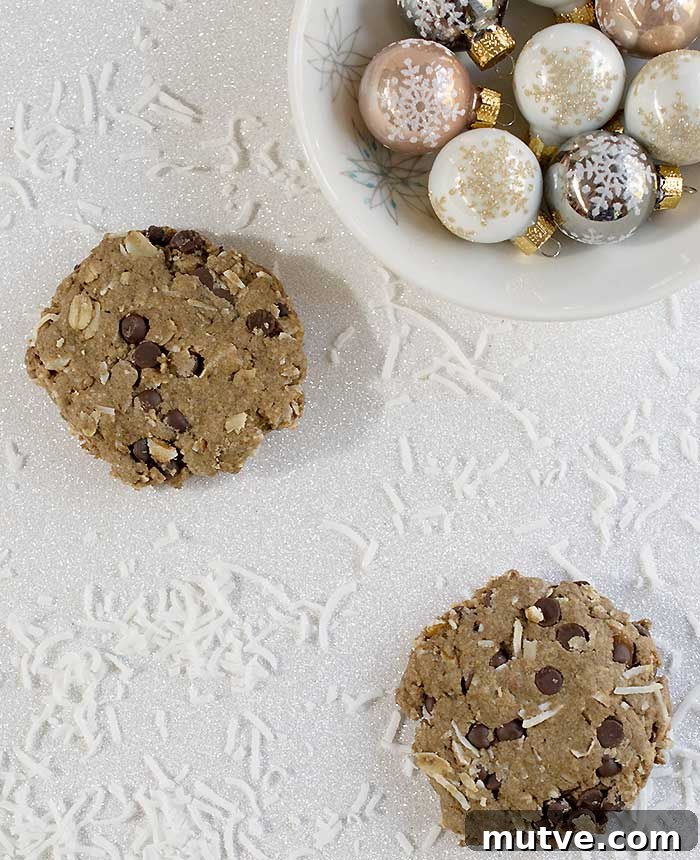 Gluten-Free Teff Chocolate Chip Cookies with Toasted Pecans 6 Gluten-free Vegan Chocolate Chip Pecan Cookies Made with Teff Flour and Coconut too!
