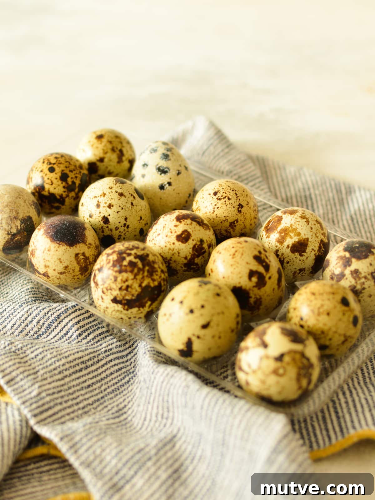 21 Quail Egg Recipes: Breakfast, Lunch and Dinner Ideas 2 a container of quail eggs on a towel