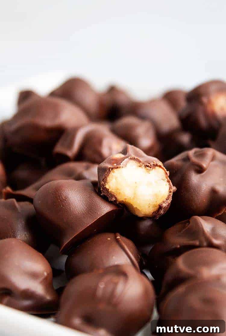 closeup of half-eaten chocolate nut