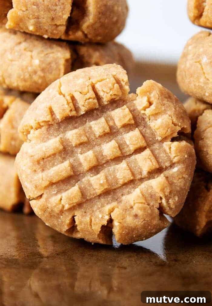 keto peanut butter cookies