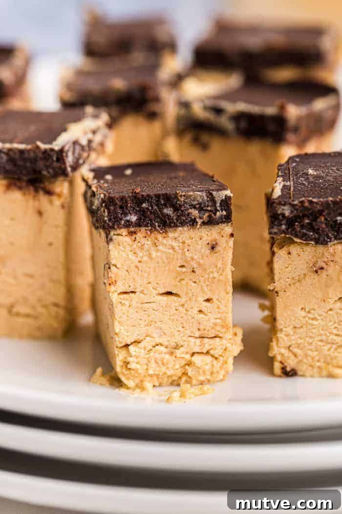 keto peanut butter dessert piece with chocolate topping