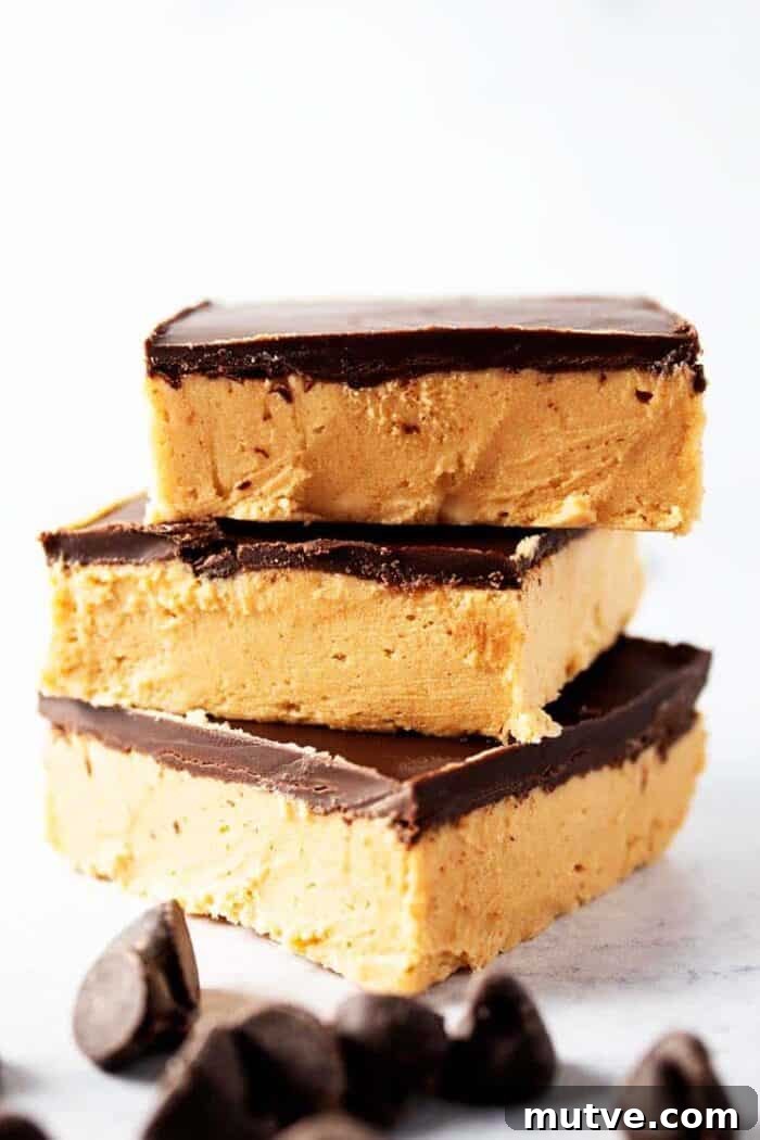 keto no bake peanut butter bars with chocolate chips
