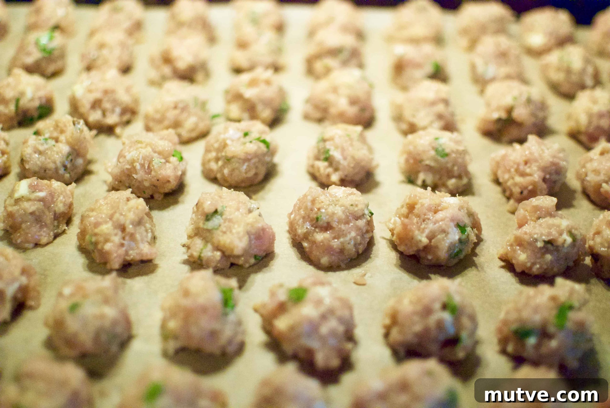 Ina Garten's Italian Wedding Soup