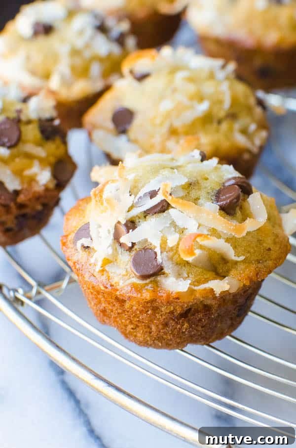 mini muffins cooling on a rack.
