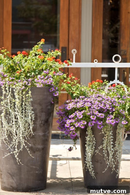 Front Porch Planter Ideas to Make Your Entryway Pop 12 ideas for front outdoor planters