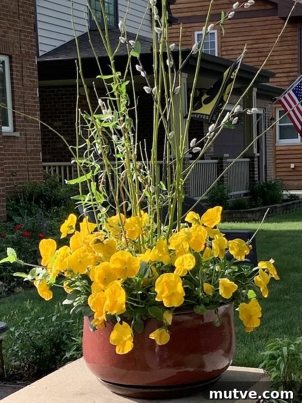 Front Porch Planter Ideas to Make Your Entryway Pop 13 ideas for front outdoor planters