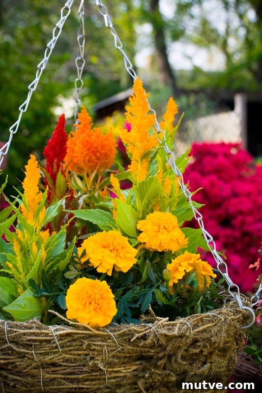 Front Porch Planter Ideas to Make Your Entryway Pop 14 ideas for front outdoor planters