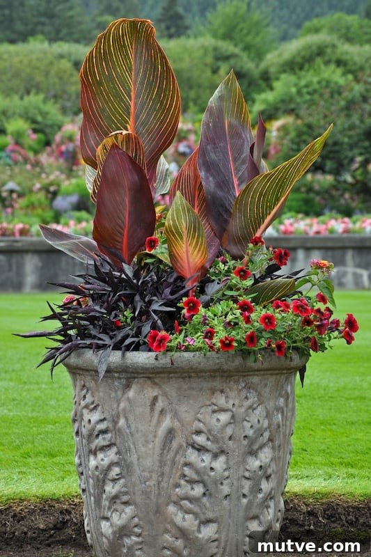 Front Porch Planter Ideas to Make Your Entryway Pop 15 ideas for front outdoor planters