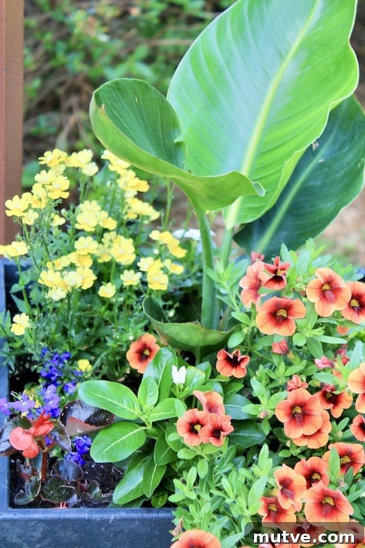 Front Porch Planter Ideas to Make Your Entryway Pop 3 ideas for front outdoor planters