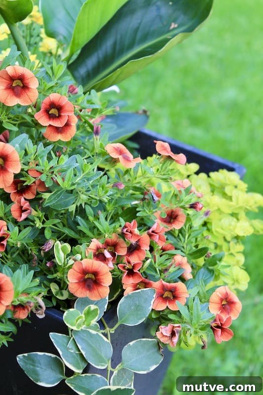 Front Porch Planter Ideas to Make Your Entryway Pop 4 ideas for front outdoor planters