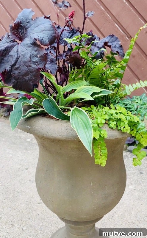 Front Porch Planter Ideas to Make Your Entryway Pop 9 shade loving container plants