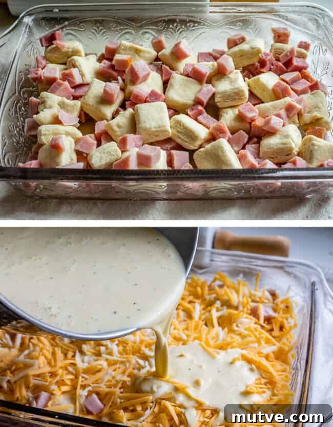 Cheesy Biscuit-Topped Breakfast Casserole Recipe 11 squares of homemade biscuit and ham cubes in a glass baking pan, adding cheese and egg mixture to the same pan.