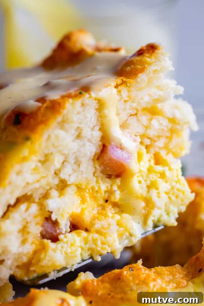 Cheesy Biscuit-Topped Breakfast Casserole Recipe 13 a close up shot of a slice of biscuit breakfast casserole.