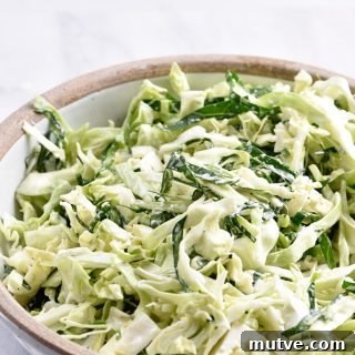Cabbage and Collard Green Coleslaw Recipe - thumbnail