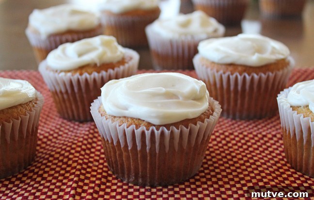 April 2020 Meal Plan: Week 2 Recipes 11 img 21495 15