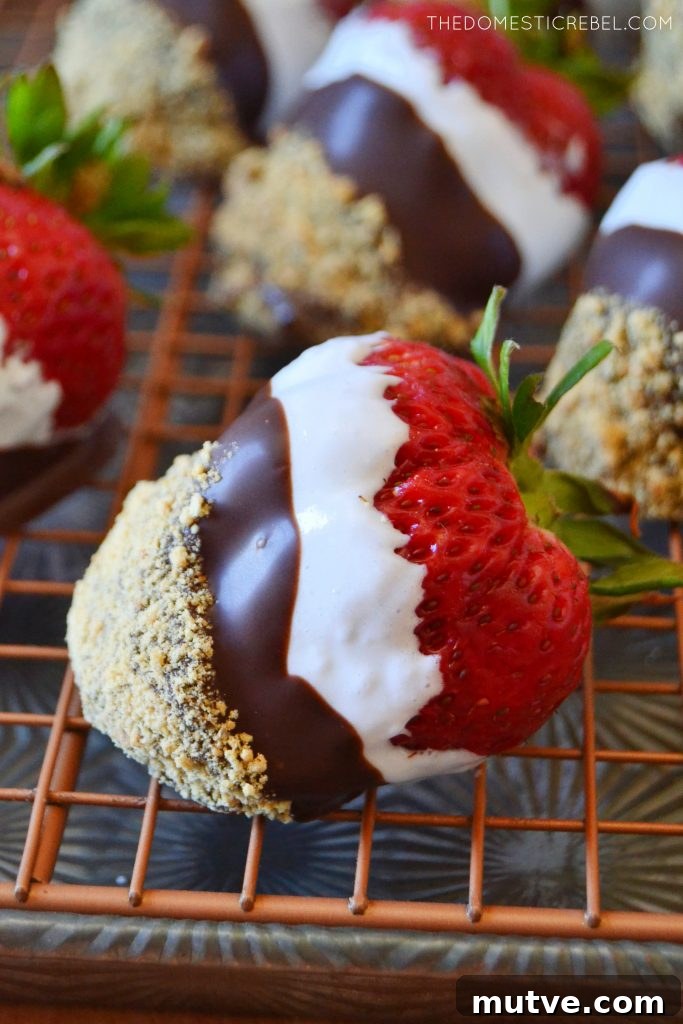 a sideways profile of a s'mores dipped strawberry on a wire rack