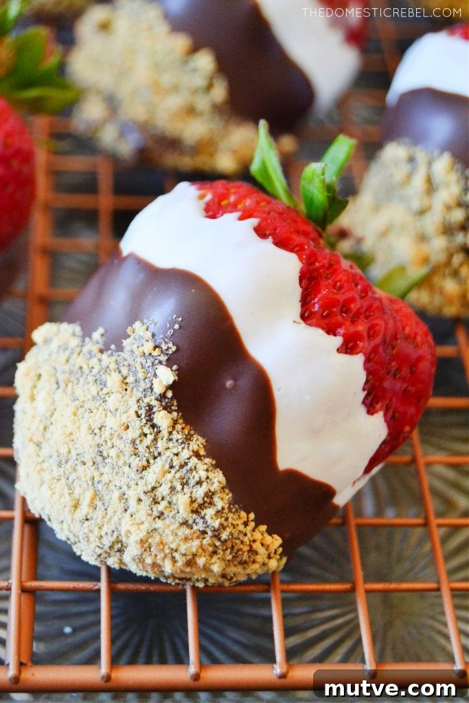a closeup of a huge s'mores dipped strawberries