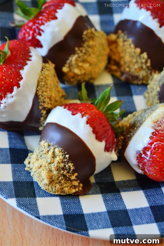 a blue gingham plate with s'mores dipped strawberries