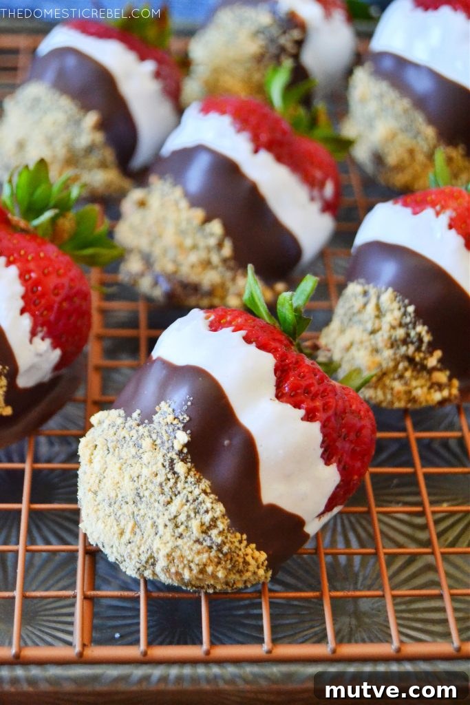 a tray filled with s'mores dipped strawberries