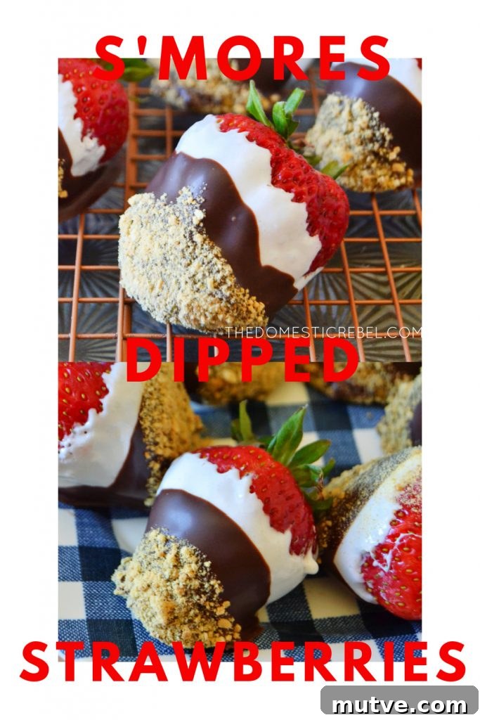 s'mores dipped strawberries photo collage
