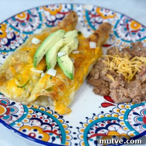 tasty honey lime chicken enchiladas