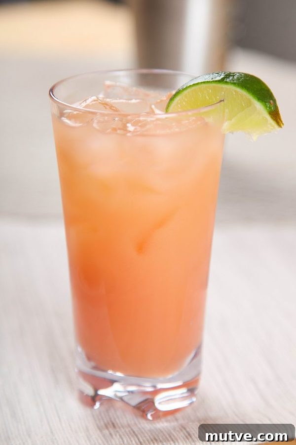 Classic Greyhound Cocktail Recipe: Vodka and Grapefruit 3 Side view of a grapefruit Greyhound cocktail with ice and a lime wedge