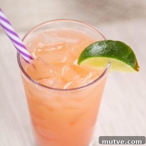 Classic Greyhound Cocktail Recipe: Vodka and Grapefruit 4 Small image of a Greyhound drink
