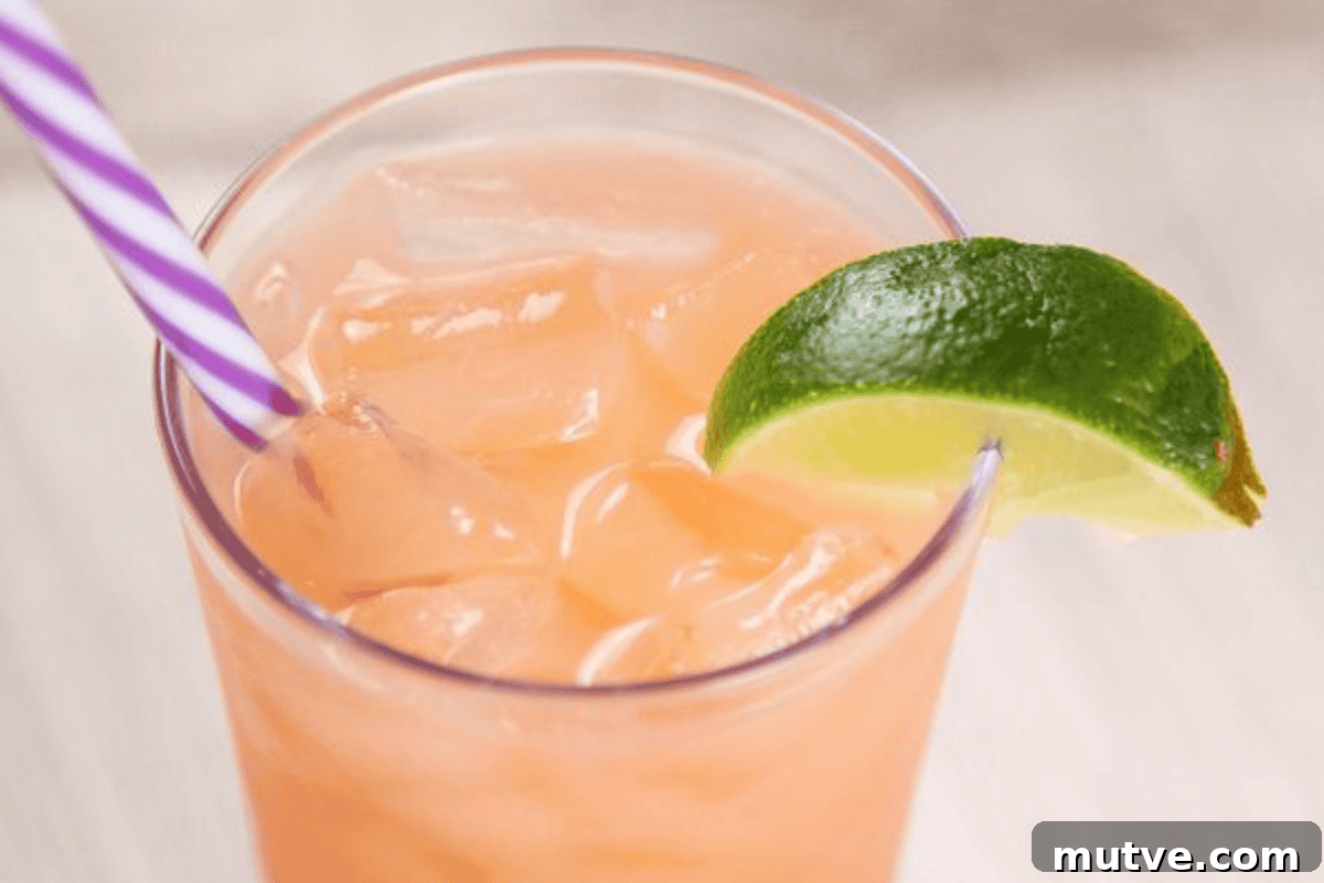 Classic Greyhound Cocktail Recipe: Vodka and Grapefruit 5 Graphic image related to the recipe