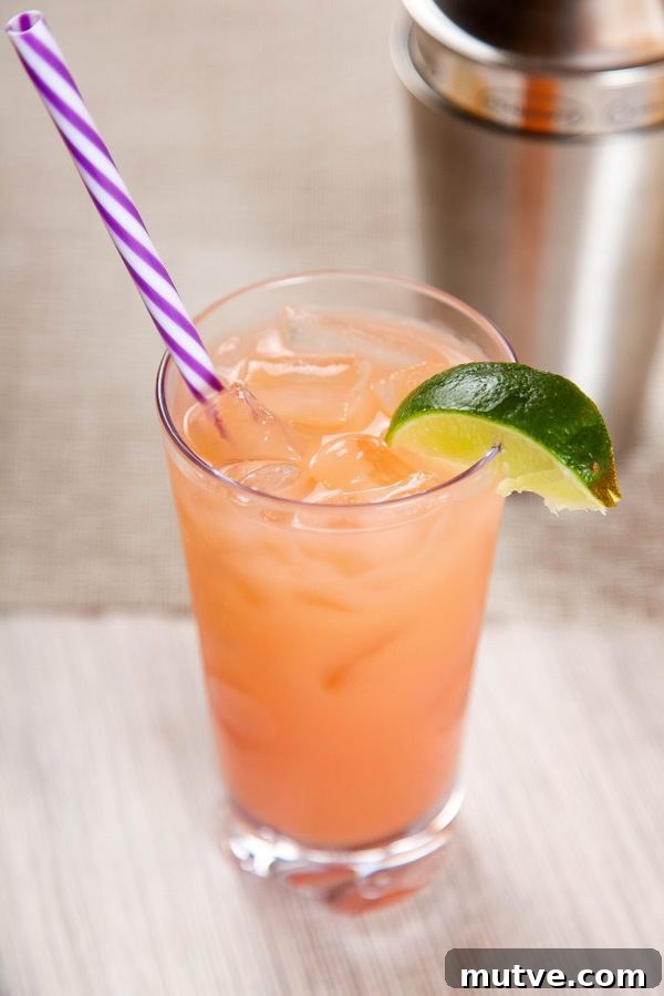 Classic Greyhound Cocktail Recipe: Vodka and Grapefruit 6 A light orange Greyhound cocktail with a cocktail shaker in the background