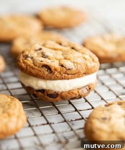 close up shot of cookie ice cream sandwich on wire rack with cookies