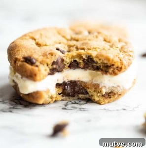 close up shot of cookie sandwich with bite marks