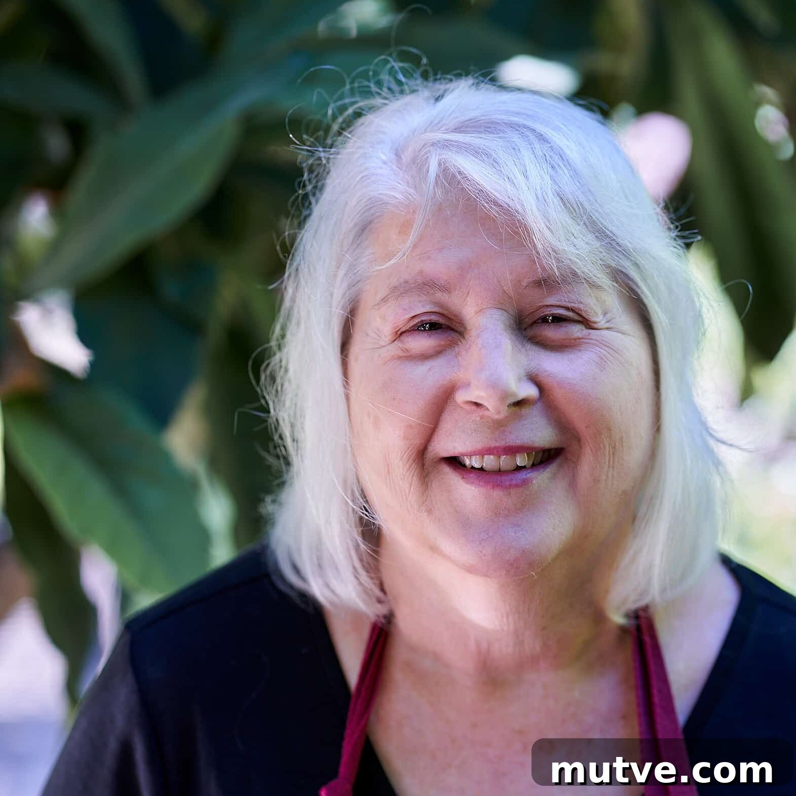 Dorothy Calimeris