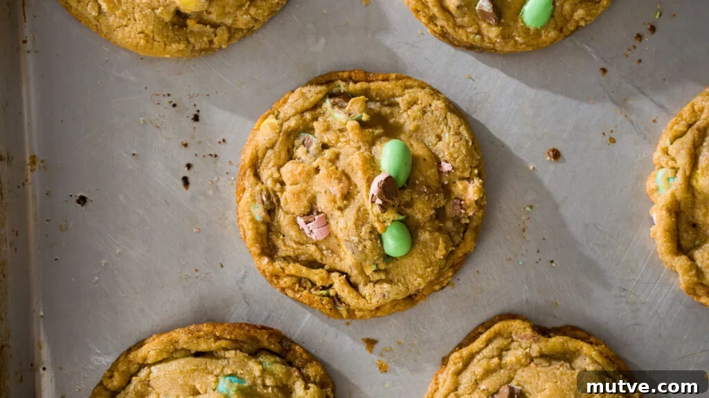 Mini egg cookies on a parchment lined cookie sheet just out of the oven.