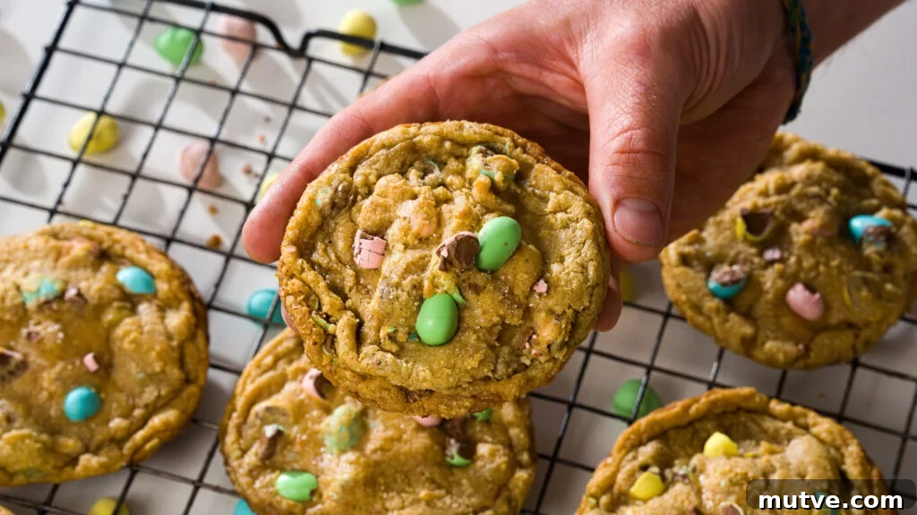 One cookie ready to be eaten.